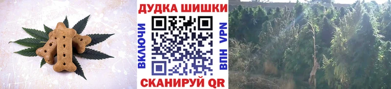 Canna-Cookies конопля Аша
