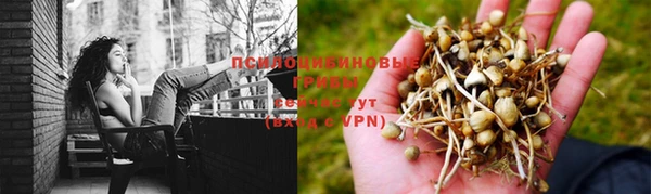 каннабис Алексин