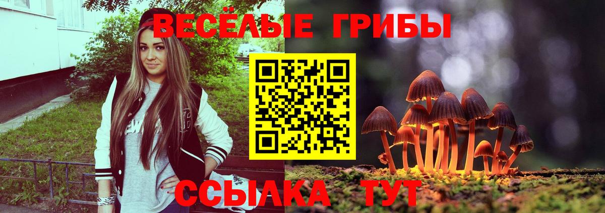 Галлюциногенные грибы Psilocybe Аша